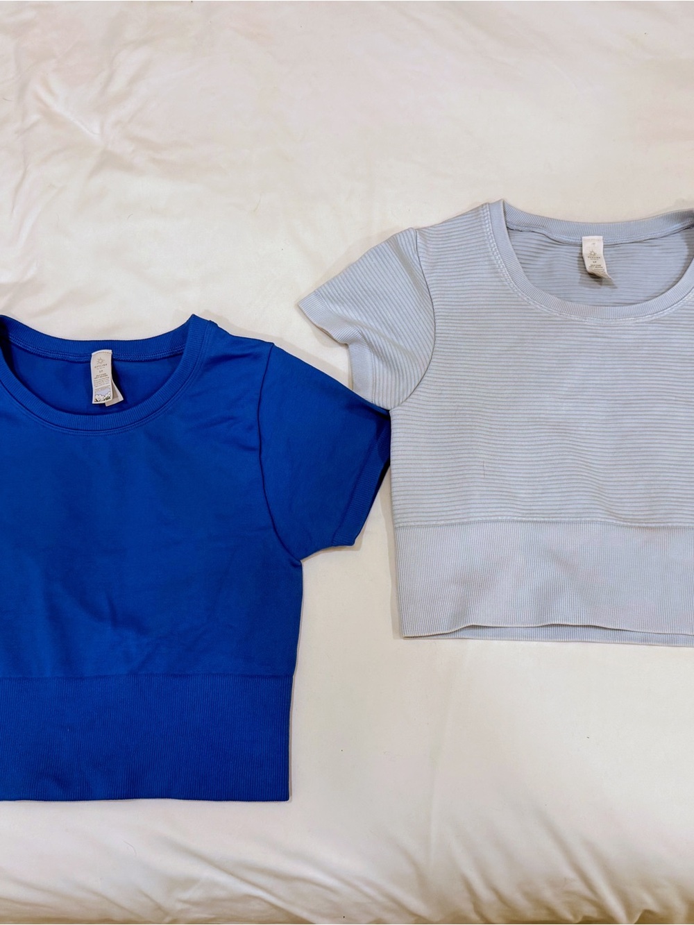 Crop Tee Short Sleeve Ribbed Crop Top - Blue and Light Blue